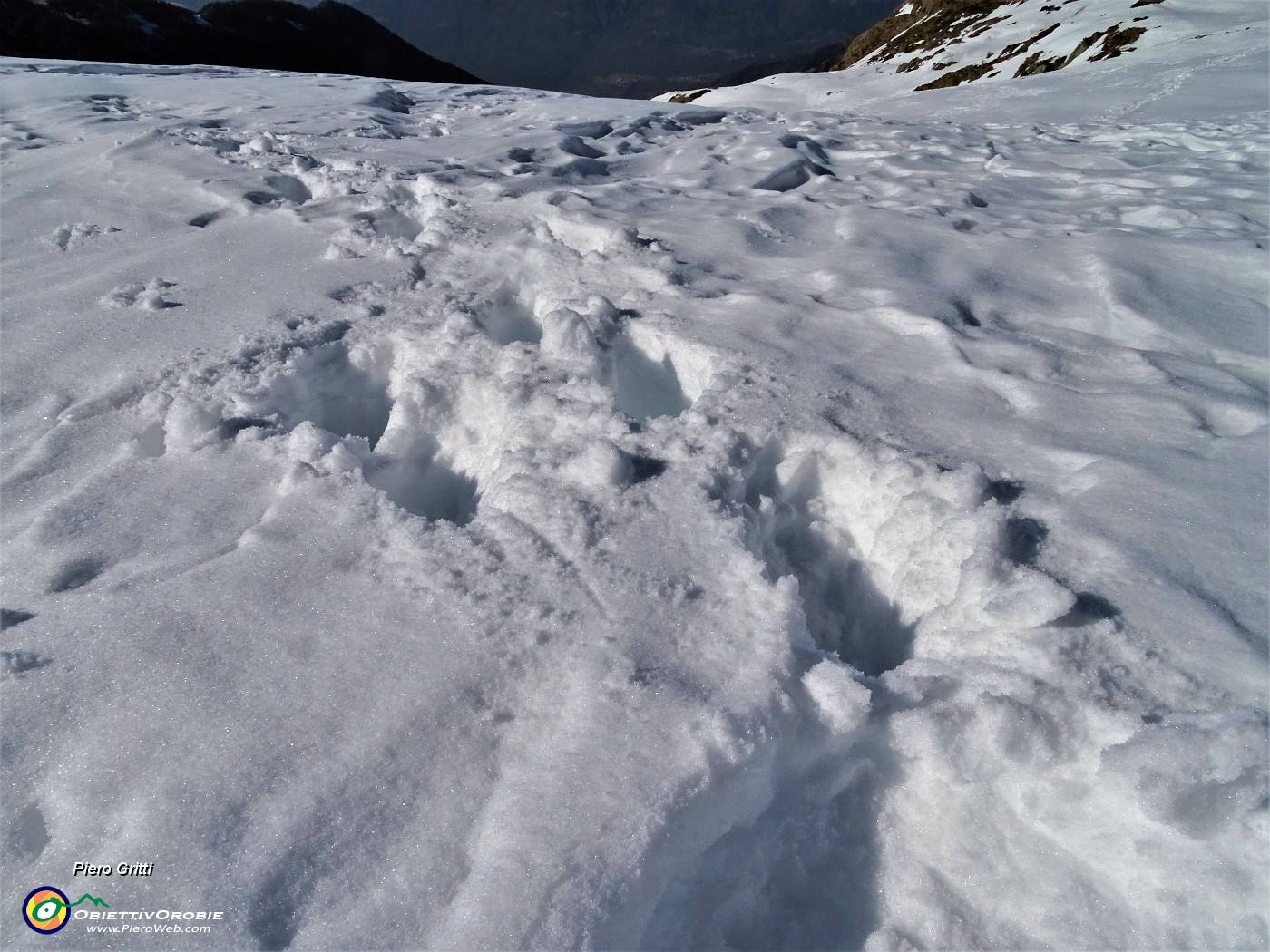 54 Rientro al Passo San Marco con affondi nella neve rammollita dal sole.JPG -                                